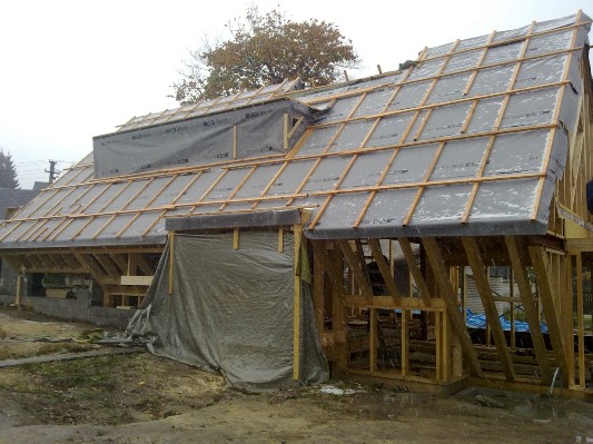 201020111025.jpg