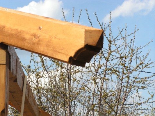 pergola 063.jpg
