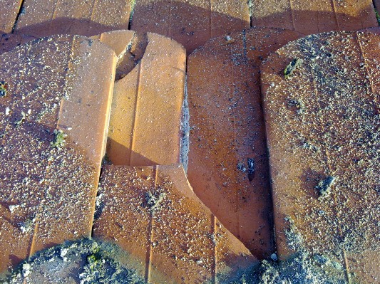 27102010137.jpg