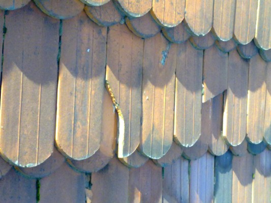 27102010141.jpg