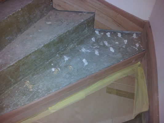 20120418_110650.jpg