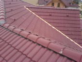 DSC00515.JPG