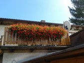 2012-09-18 12.58.36.jpg