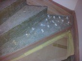 20120418_110650.jpg