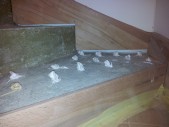 20120418_110659.jpg